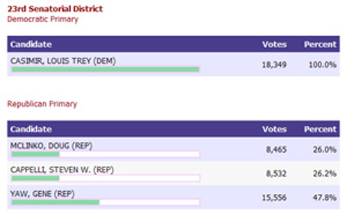 election results