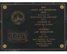 2000 Conference of County Bar Leaders Award