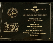 2022 County Bar Recognition Awarded to LLA